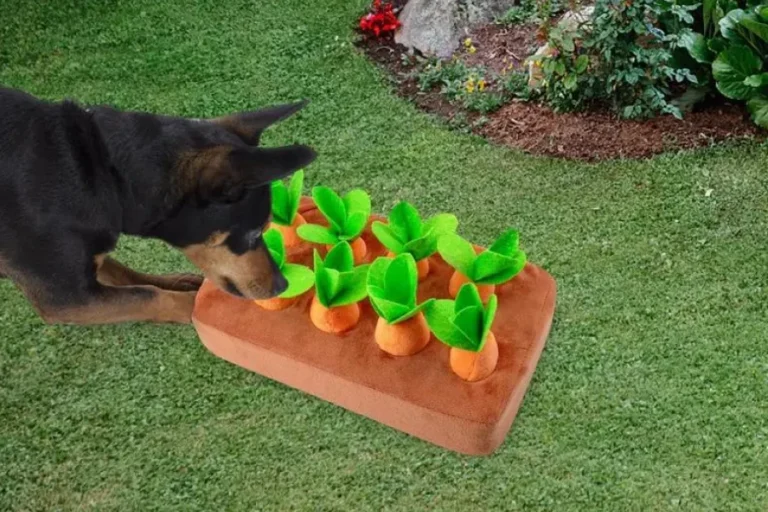 Plush Vegetable Dog Toy