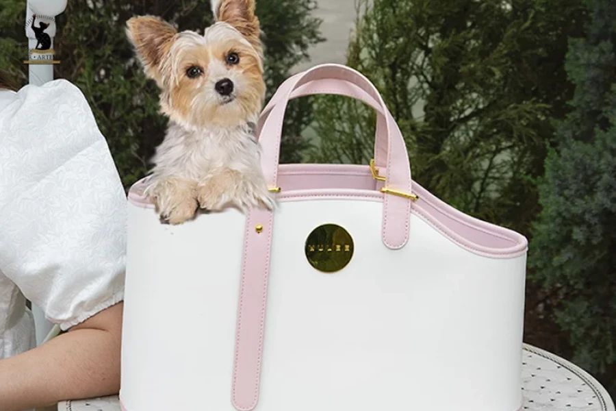 Stylish Pet Carrier Bags